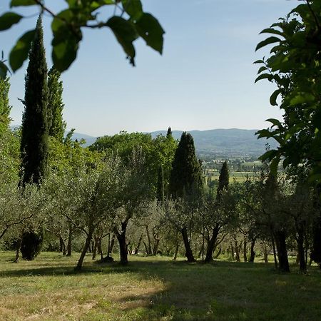 Villa Degli Ulivi Assisi Exteriör bild