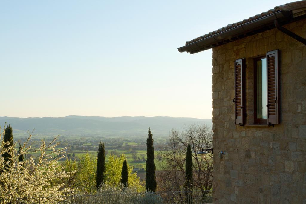 Villa Degli Ulivi Assisi Exteriör bild
