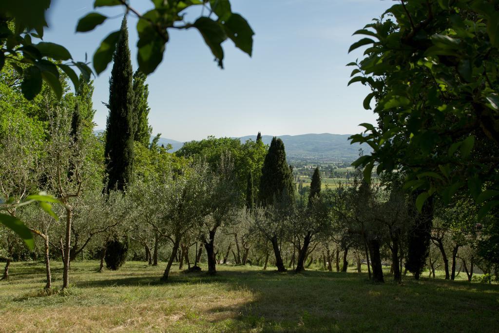 Villa Degli Ulivi Assisi Exteriör bild