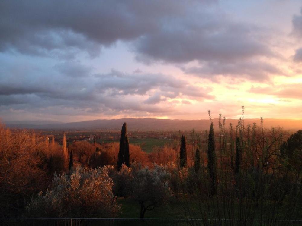 Villa Degli Ulivi Assisi Exteriör bild