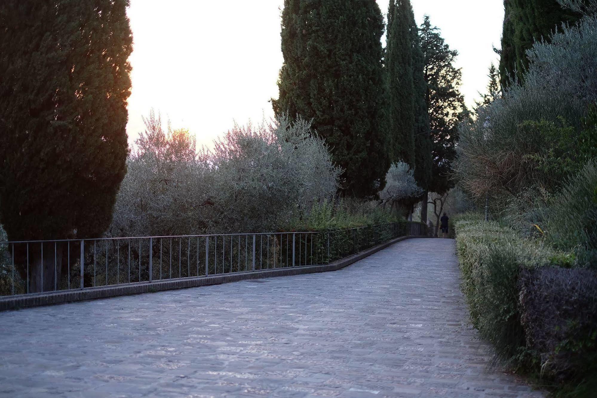 Villa Degli Ulivi Assisi Exteriör bild